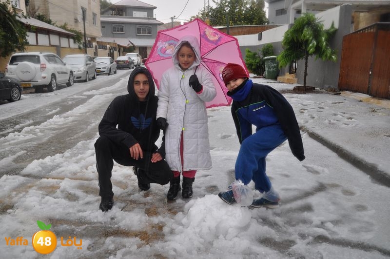 iceman lud 1213 (32).JPG